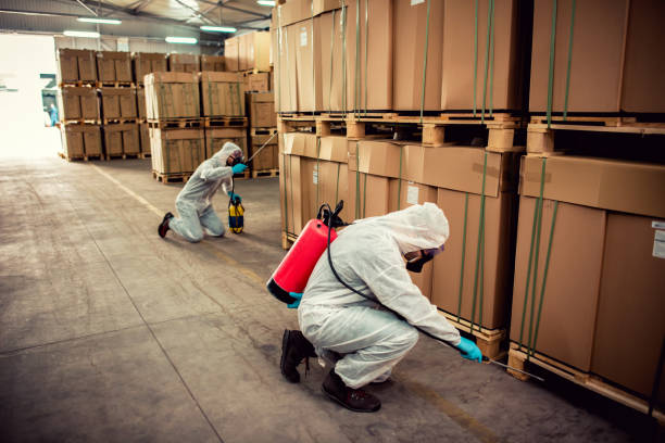Best Mosquito Control Services  in Crestwood, IL
