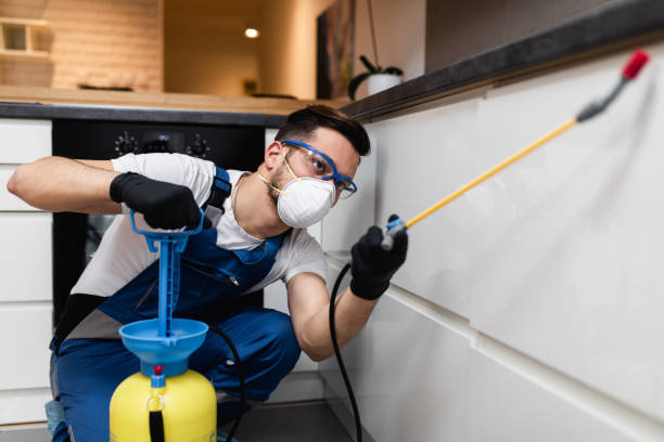 Best Rat Extermination Near Me  in Crestwood, IL