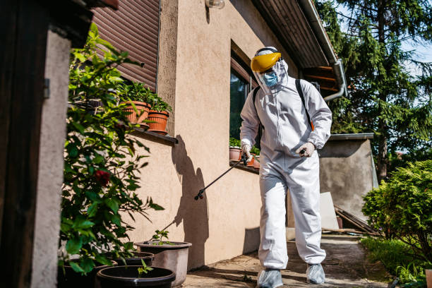 Best Residential Pest Control  in Crestwood, IL