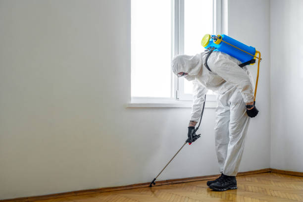 Flea Control Services in Crestwood, IL