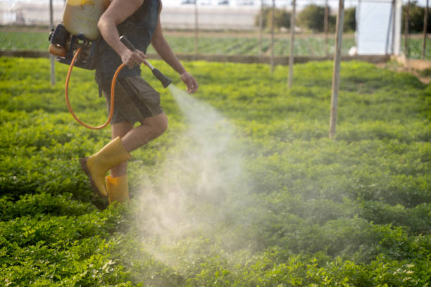 Best Affordable Pest Control Services  in Crestwood, IL