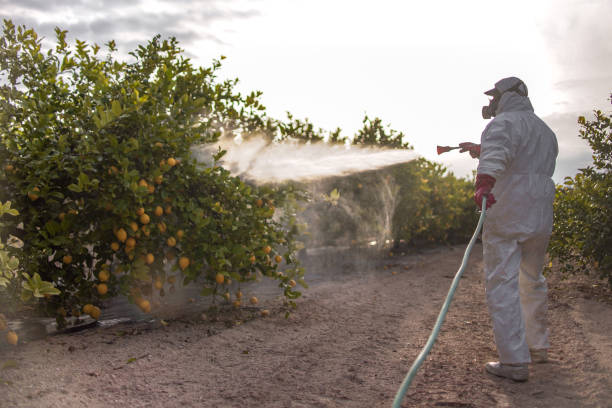 Best Exterminator Services  in Crestwood, IL