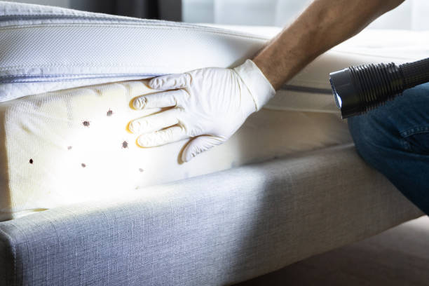 Pest Control for Restaurants in Crestwood, IL