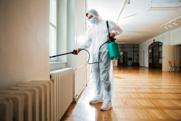 Best Affordable Pest Control Services  in Crestwood, IL