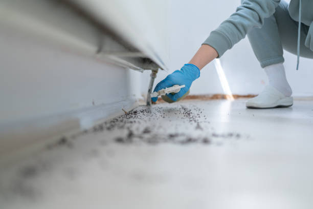 Best Pest Control Near Me  in Crestwood, IL