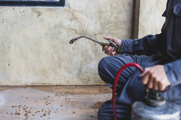 Best Commercial Pest Control Services  in Crestwood, IL
