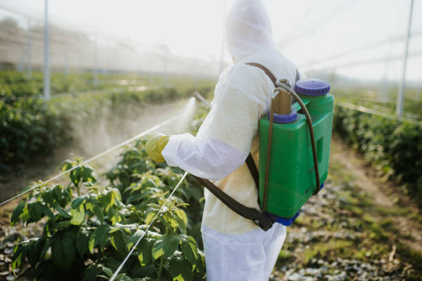 Best Local Pest Control Services  in Crestwood, IL